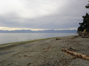 Beach - Coastal Location